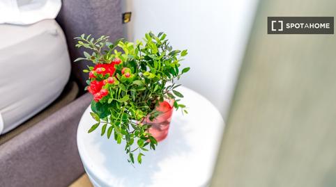 Foto 5 de Estudi per a compartir a Embajadores - Lavapiés,  Madrid Capital