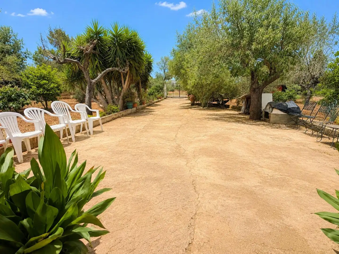 Jardín de Casa o chalet en venta en Santa Eugènia con Jardín privado y Terraza