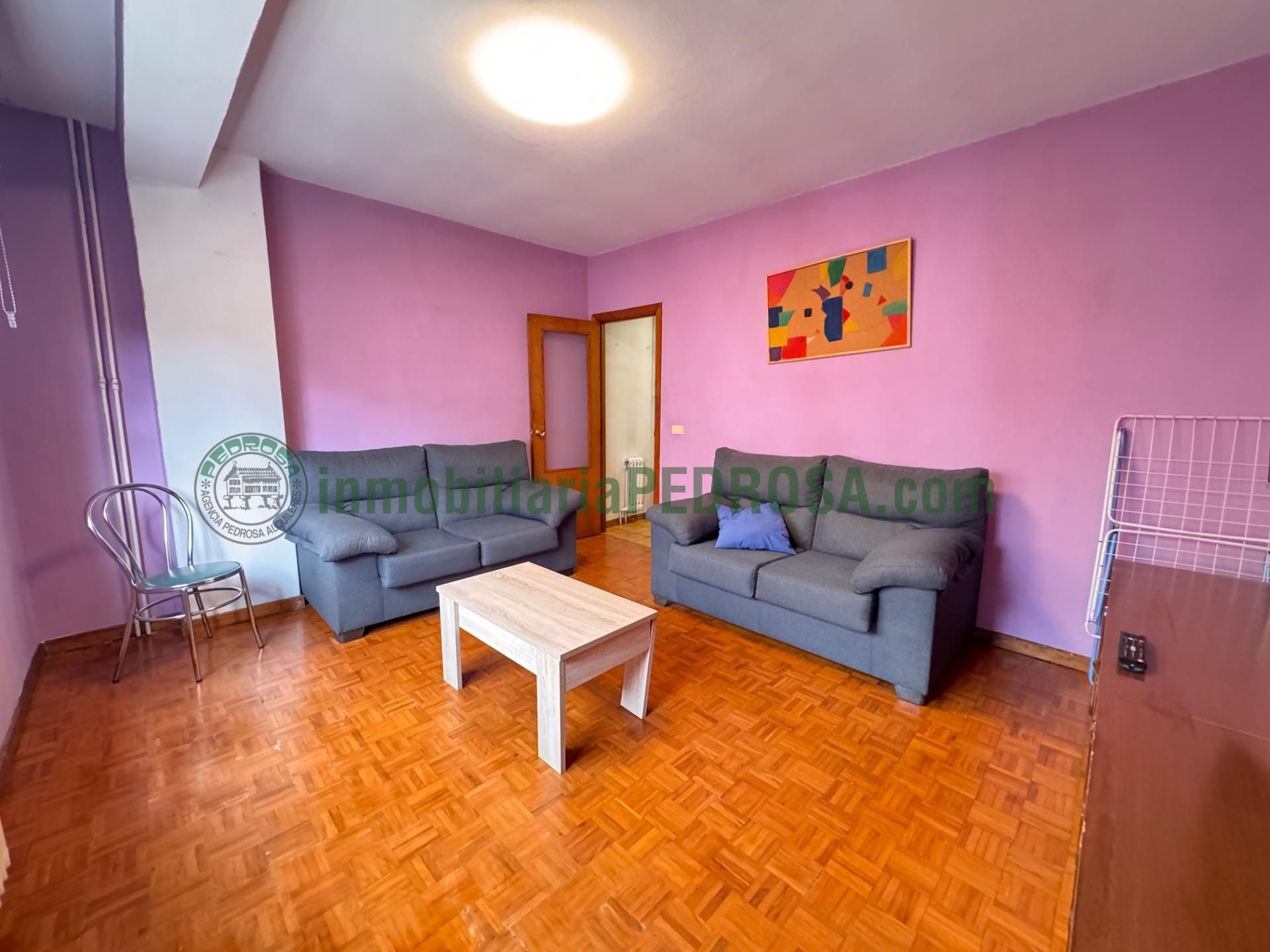 Sala de estar de Piso de alquiler en Pontevedra Capital 