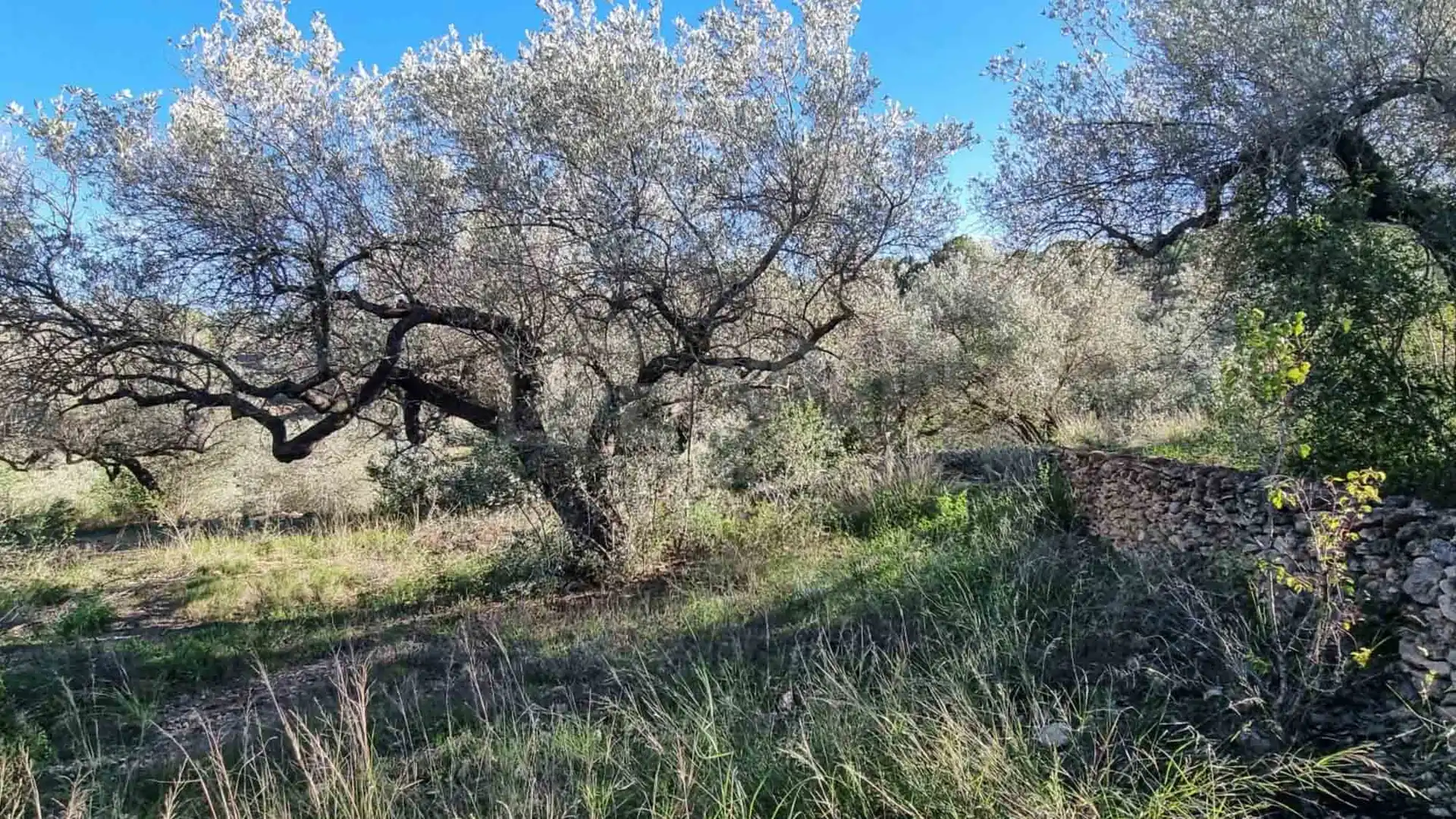 Casa rústica con piscina en venta en El Perelló, imagen 68