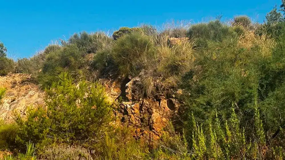 Terreno residencial en venta en El Pinar, imagen 7
