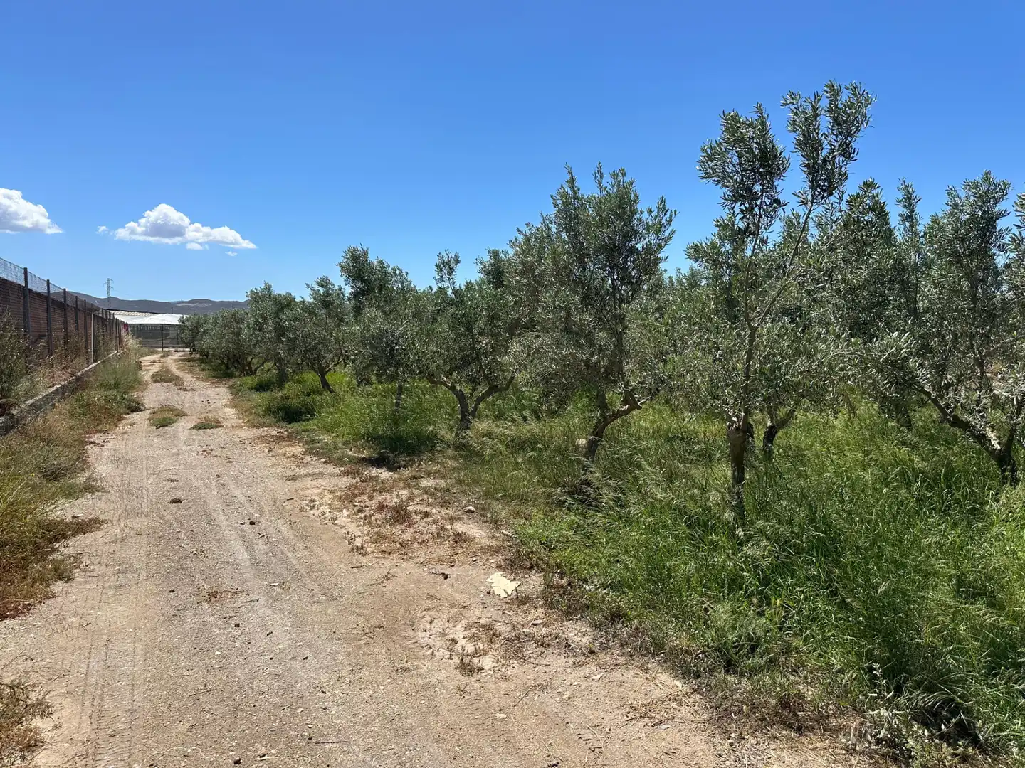 Finca rústica en venda en Níjar amb Moblat