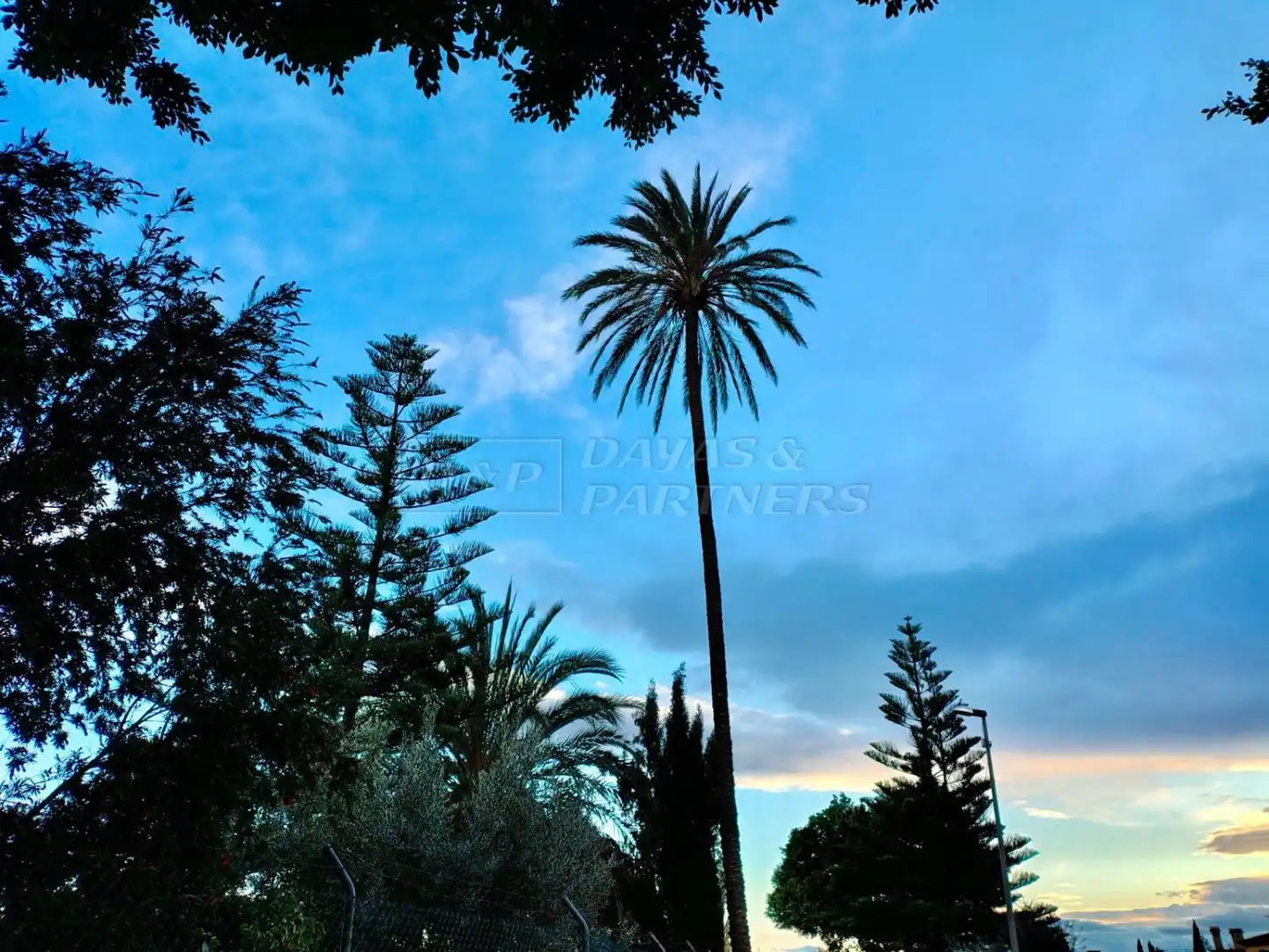 Vista exterior de Finca rústica en venta en Orihuela con Piscina