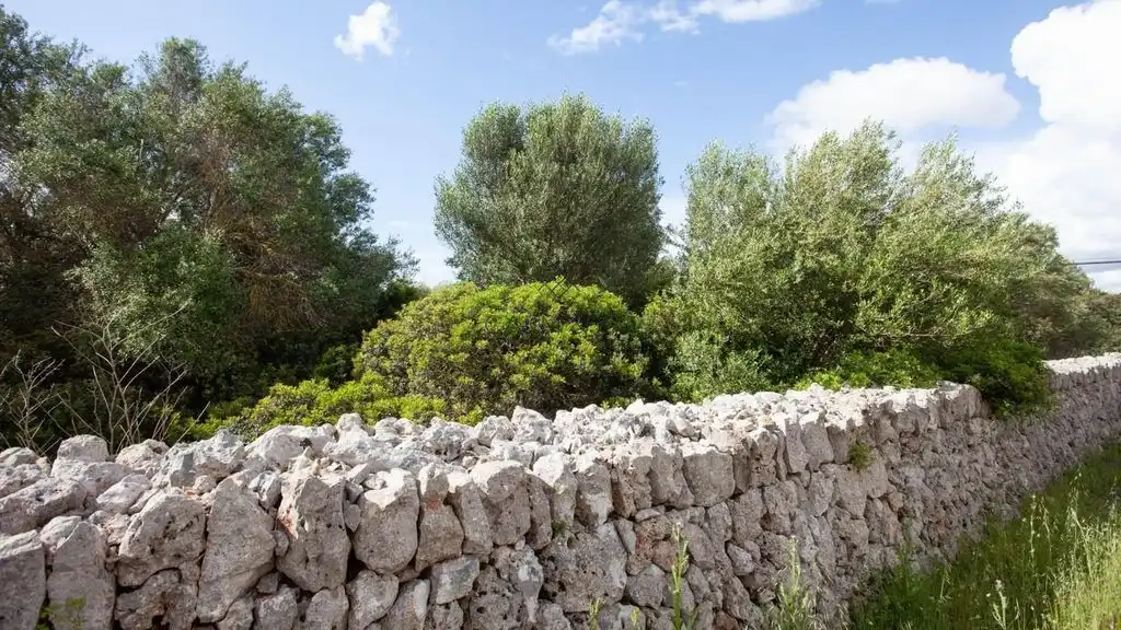 Garten von Country house zum Verkauf in Manacor mit Terrasse und Abstellraum