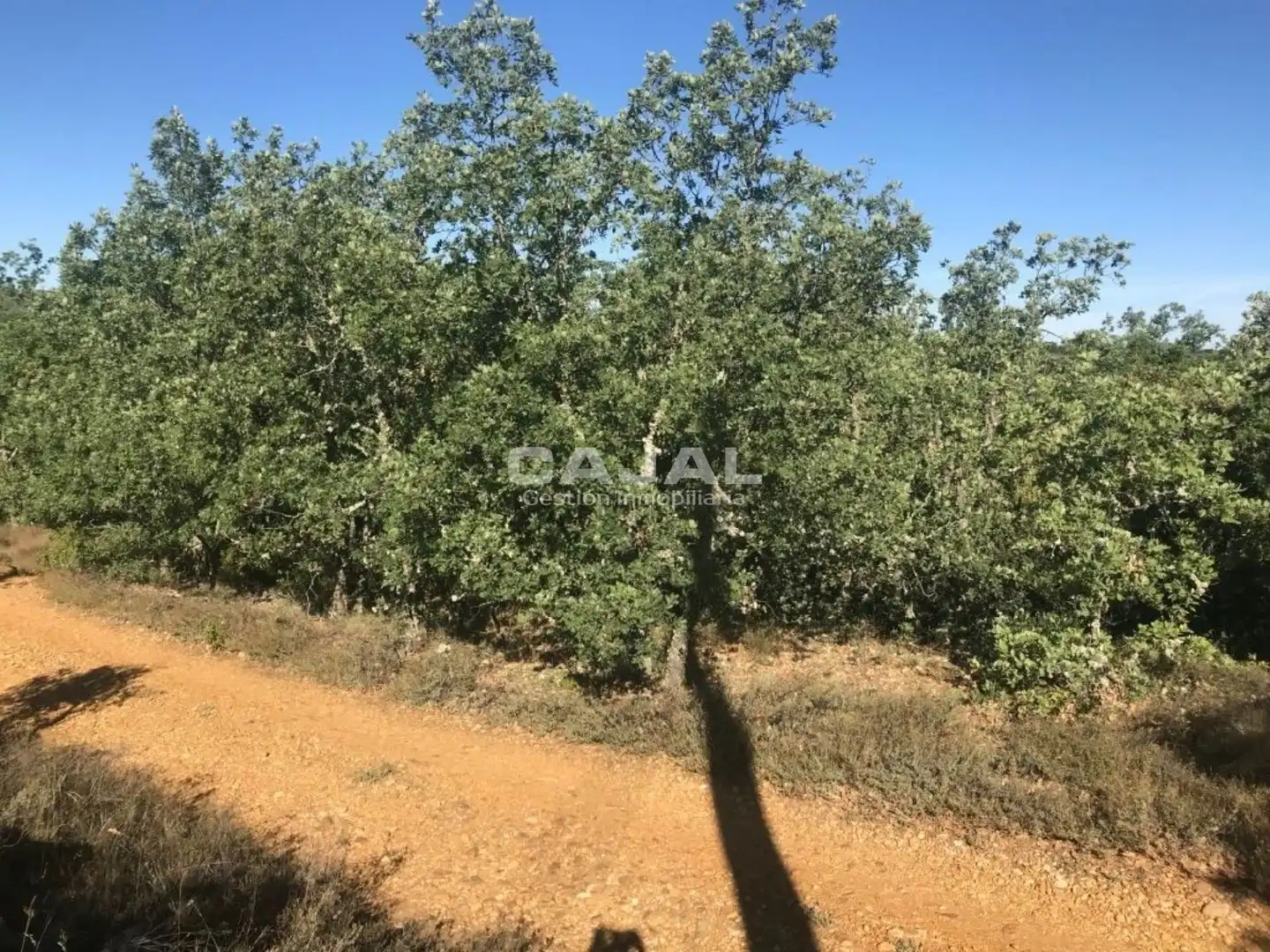 Terreni e lotti in vendita a poligono 6 parcela 6030, imagen 6