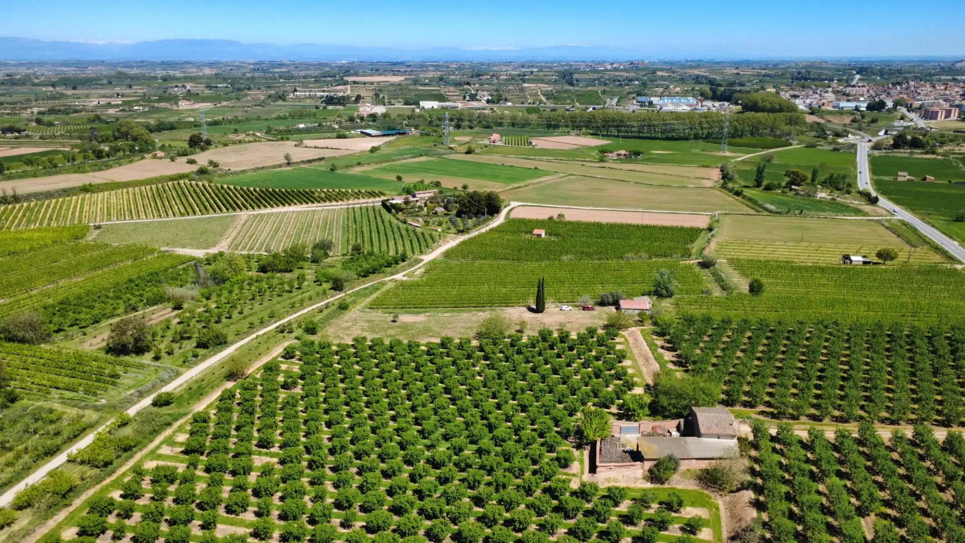 Land for sale in Juneda