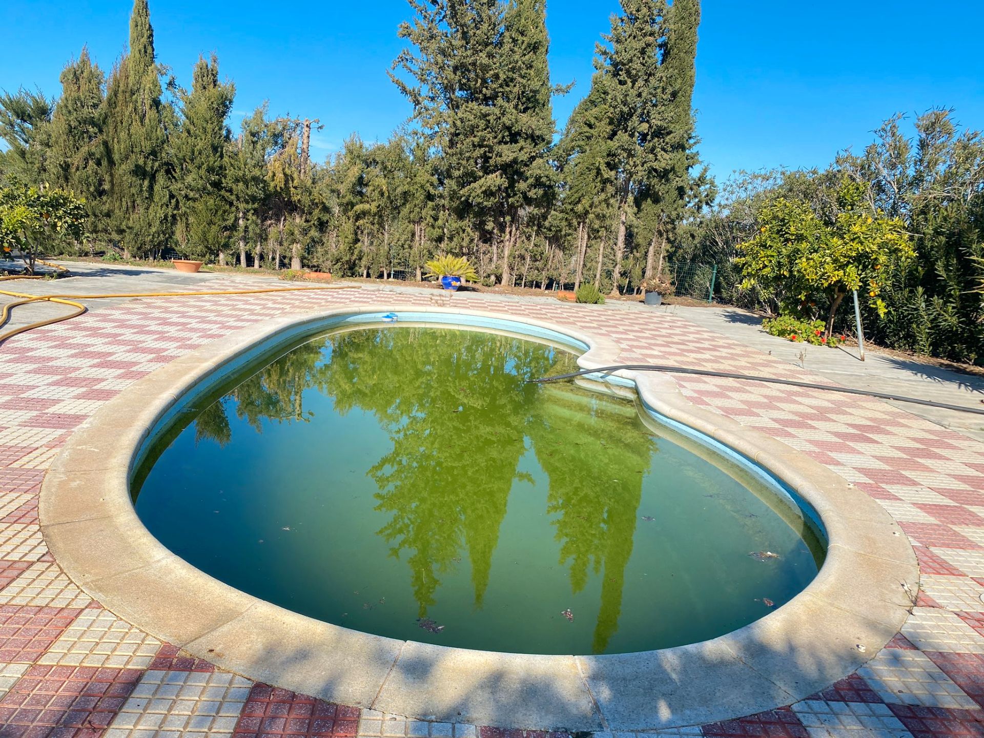 Swimming pool of House or chalet for sale in Arahal  with Air Conditioner