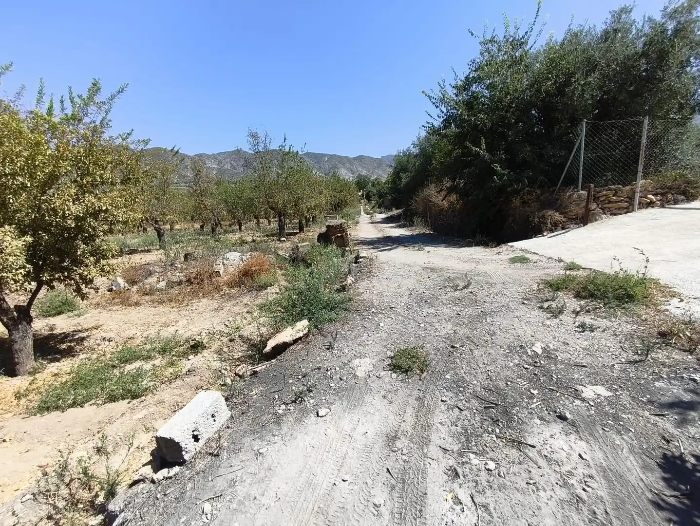 Rural land for sale in 2C55+9GC Cozvijar 0, imagen 29