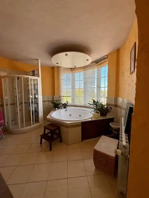 Casa o chalet en venta en Playa Flamenca