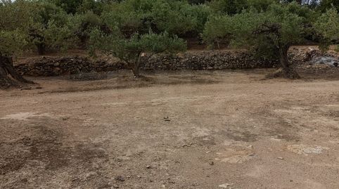 Foto 2 de Residencial en venta en El Perelló, Sueca