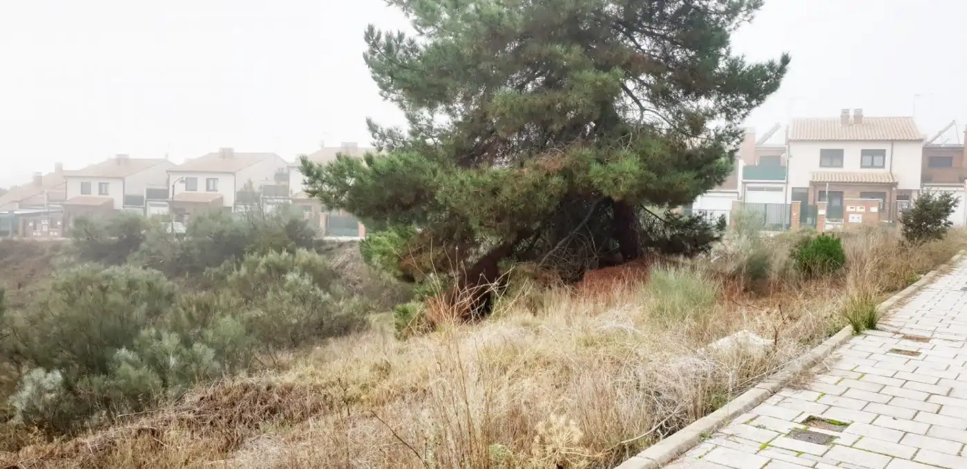 Terreno residencial en venta en Boecillo, imagen 14