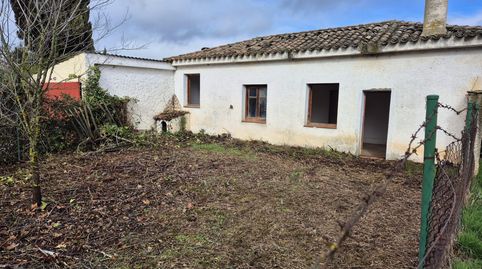 Foto 3 de Casa o chalet en venta en Calle Lagunillas, 19, Simancas, Valladolid