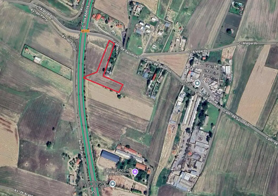 Terreny rústic en venda a Camino de Salomón 1250, imagen 4