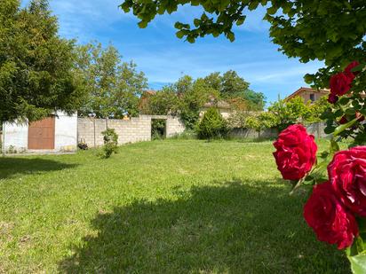 Garden of House or chalet for sale in Condado de Treviño