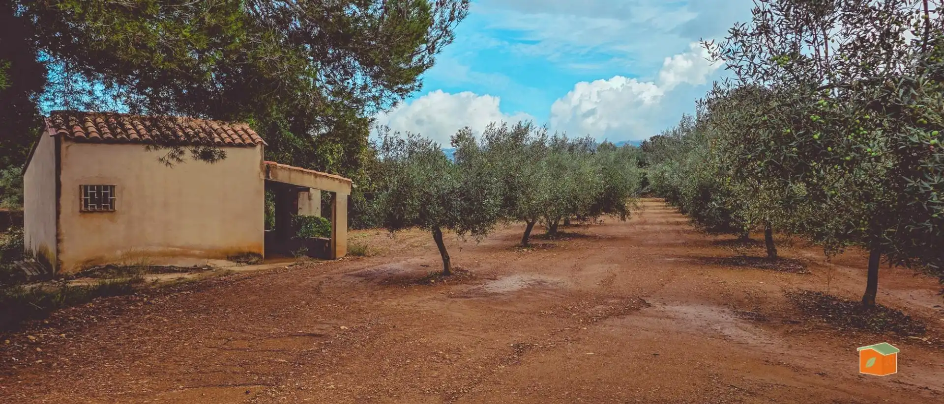 Country homes for sale in Godall  with Swimming Pool