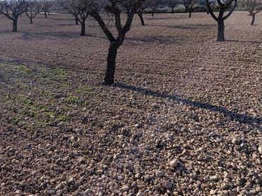 Terreno rustico in vendita a Ribera de Molina - Torrealta