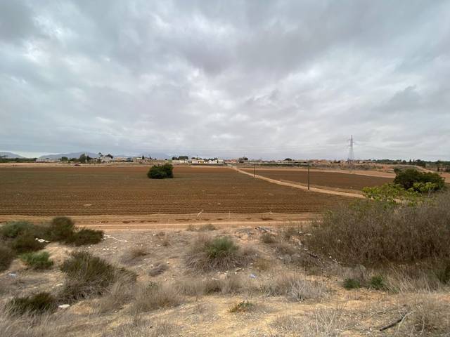 Finca rústica en Venta en MOLINO DERRIBAO en Santa Ana