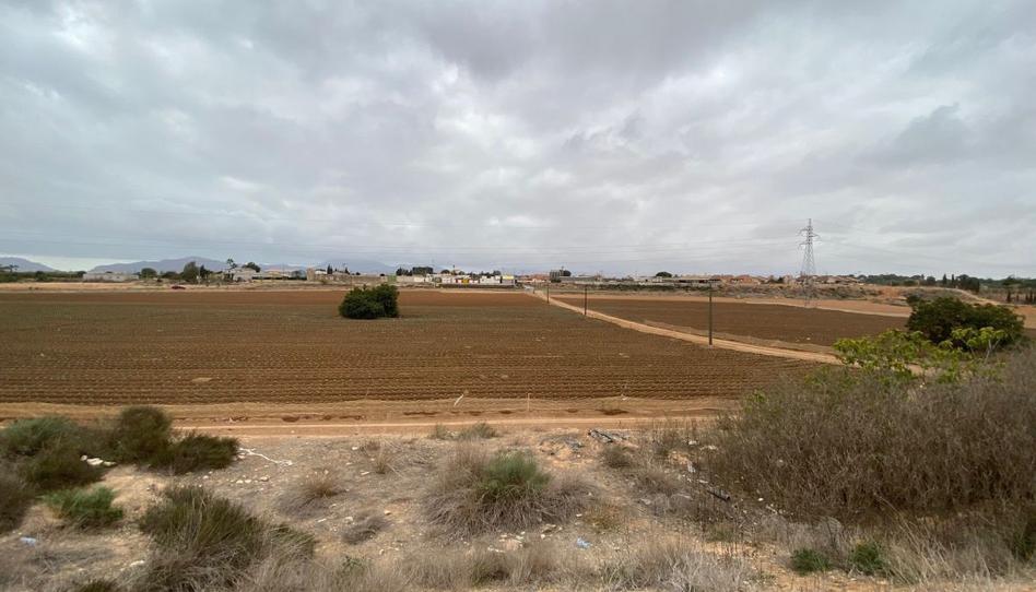 Foto 1 de Finca rústica en venda a Molino Derribao, Santa Ana, Murcia