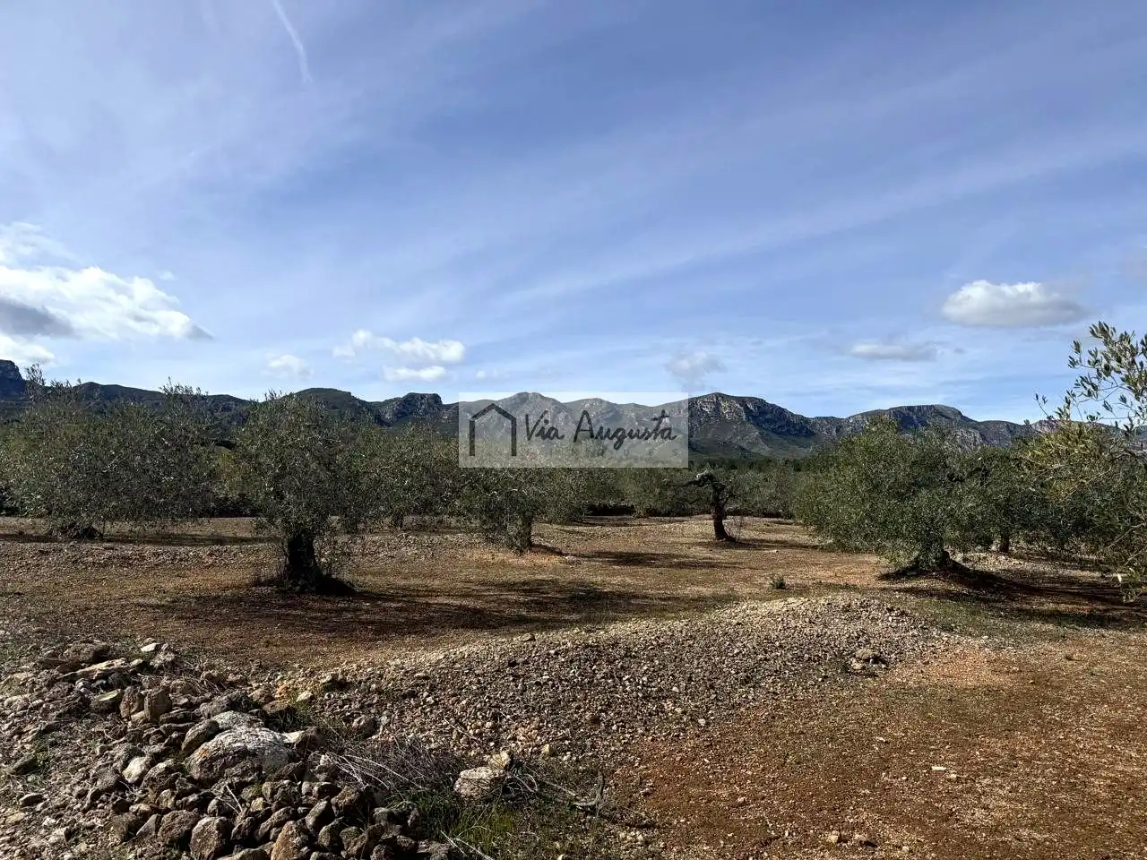 Terreno rustico in vendita a Burgà, imagen 5
