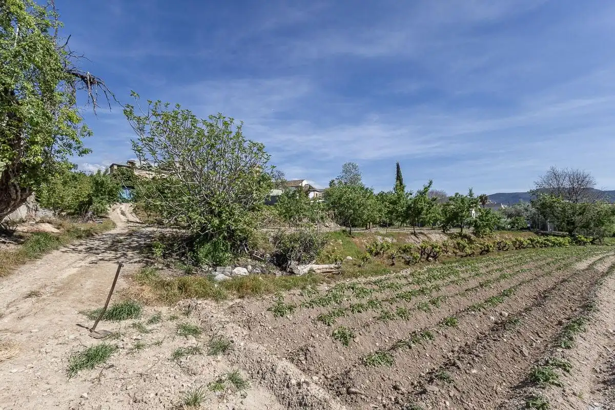 Casa o xalet en venda en Gójar amb Jardí privat, Traster i Balcó