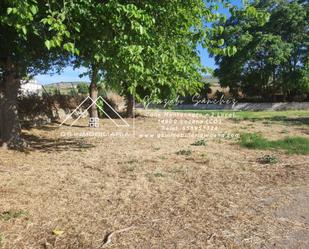 Casa o xalet en venda en Lucena