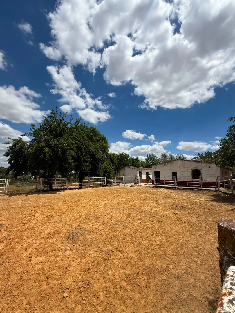 Chalet con piscina en venta en Carretera Olivares, imagen 40