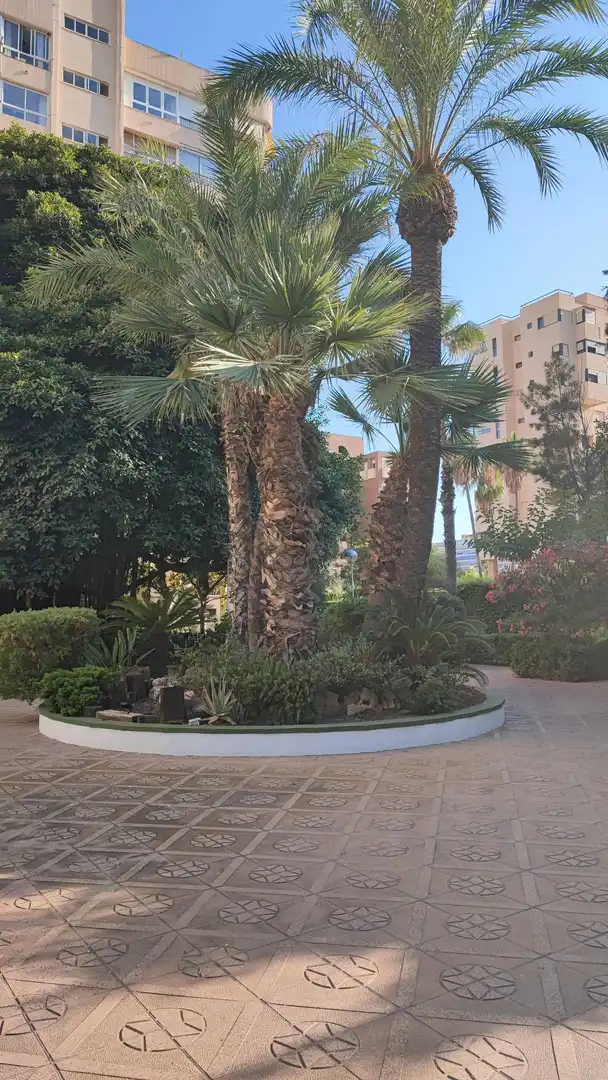 Flat with pool for sale in Playa de San Juan - El Cabo de las Huertas, imagen 30