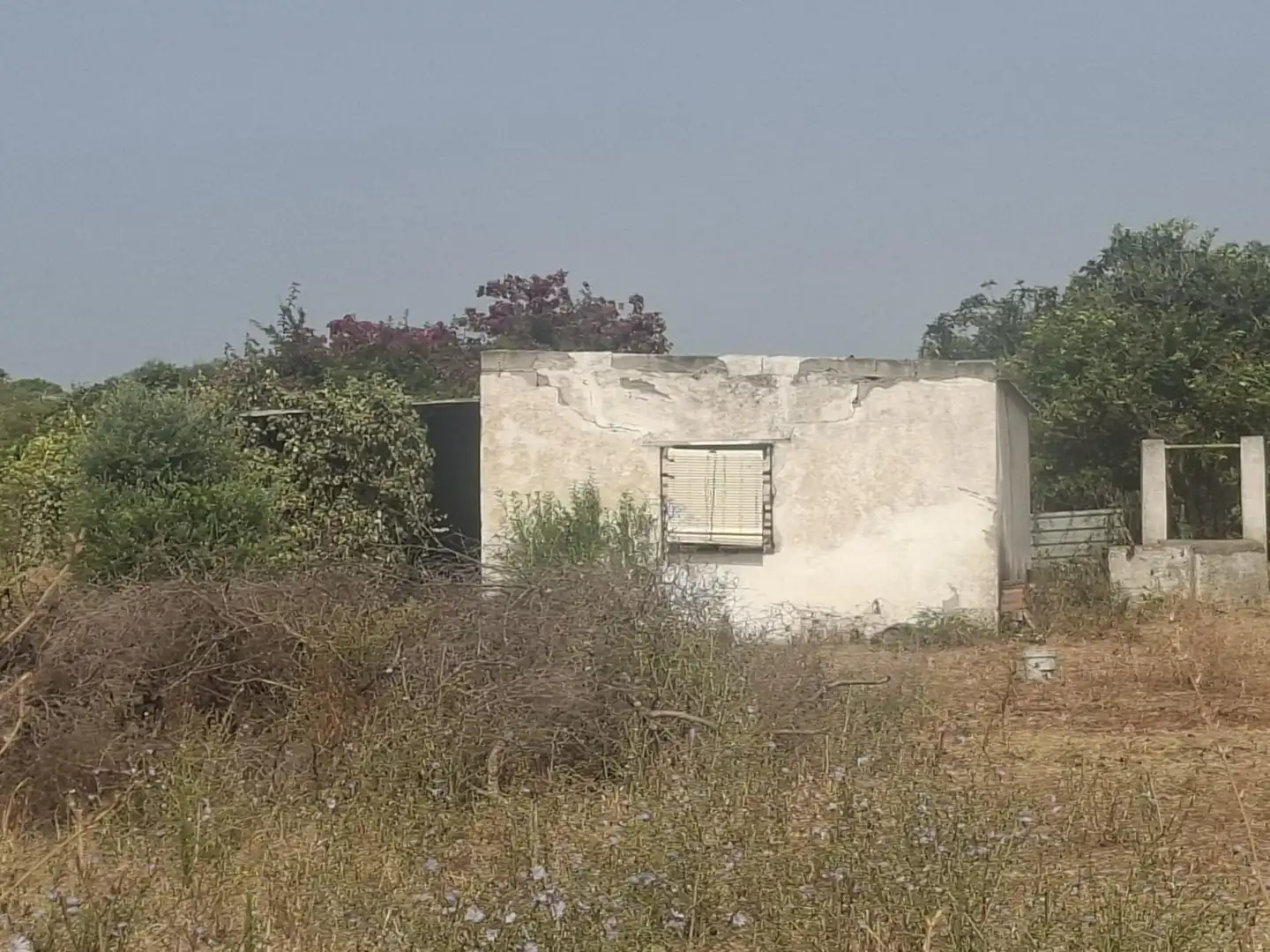 Residential land for sale in Pelagatos - Pago del Humo