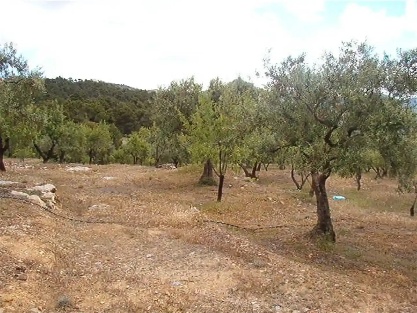 Terreno en venta en Los Guájares