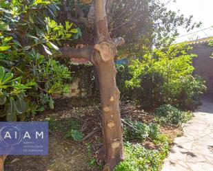 Garden of Residential for sale in Malgrat de Mar