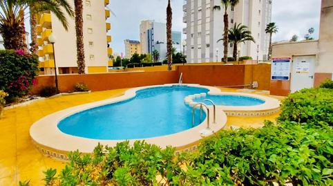 Foto 2 de Planta baixa de lloguer a  Sacerdote Ant Roca Moñino, 8, Puerto Deportivo, Alicante