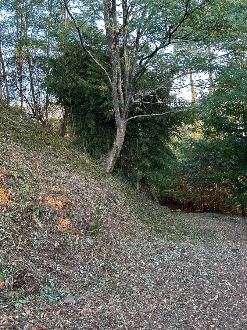 Terreni e lotti in vendita a Soigrexa, imagen 15