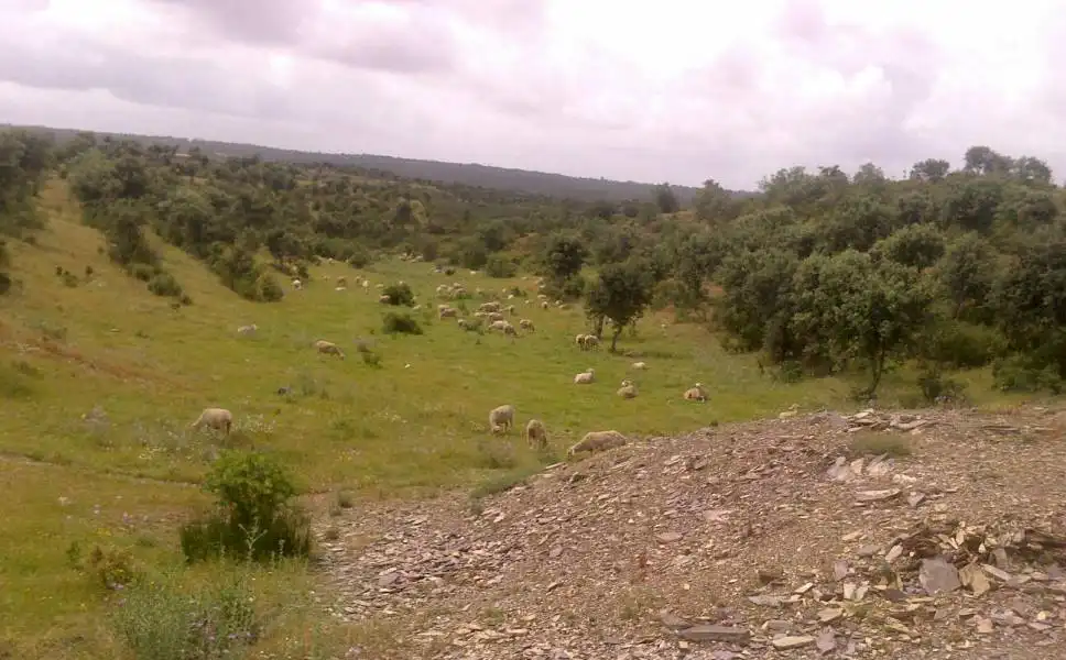 Casa rústica en venda a Valverde del Camino, imagen 17