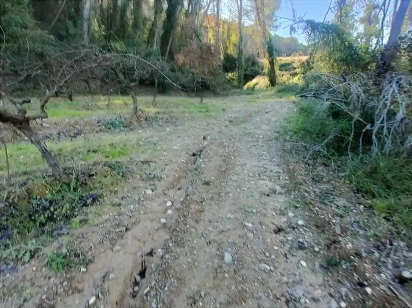 Finca rústica en venda en Esparreguera
