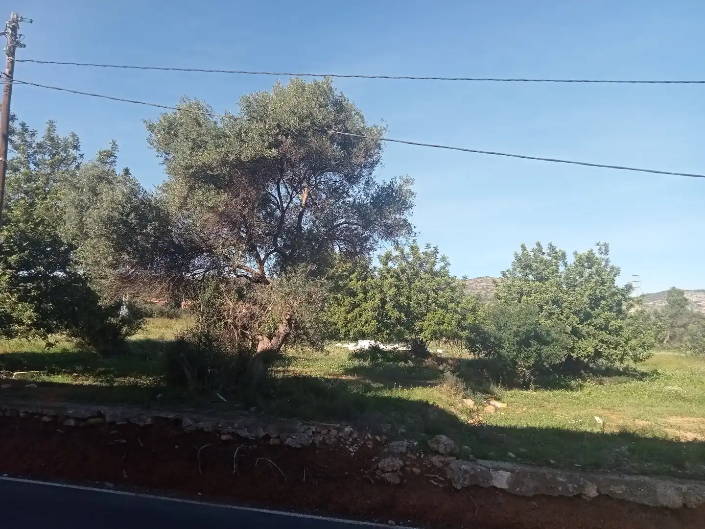 Terreno rustico in vendita a Oeste, imagen 8