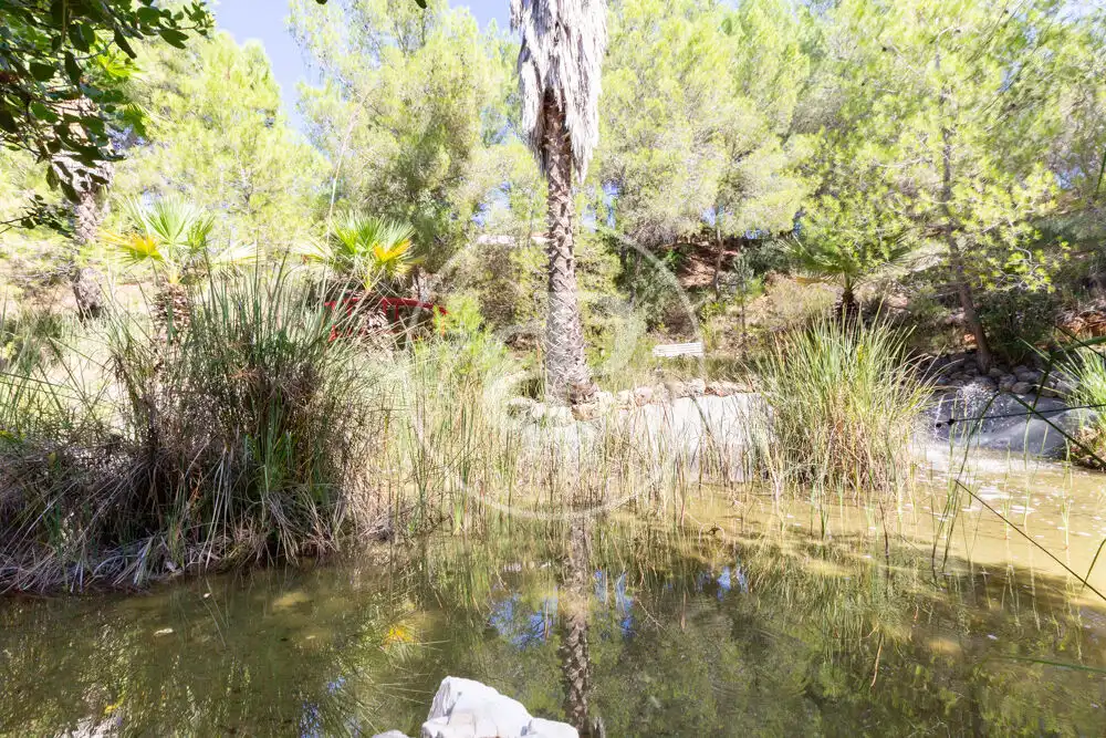 Casa con piscina en venta en Pedralba, imagen 55