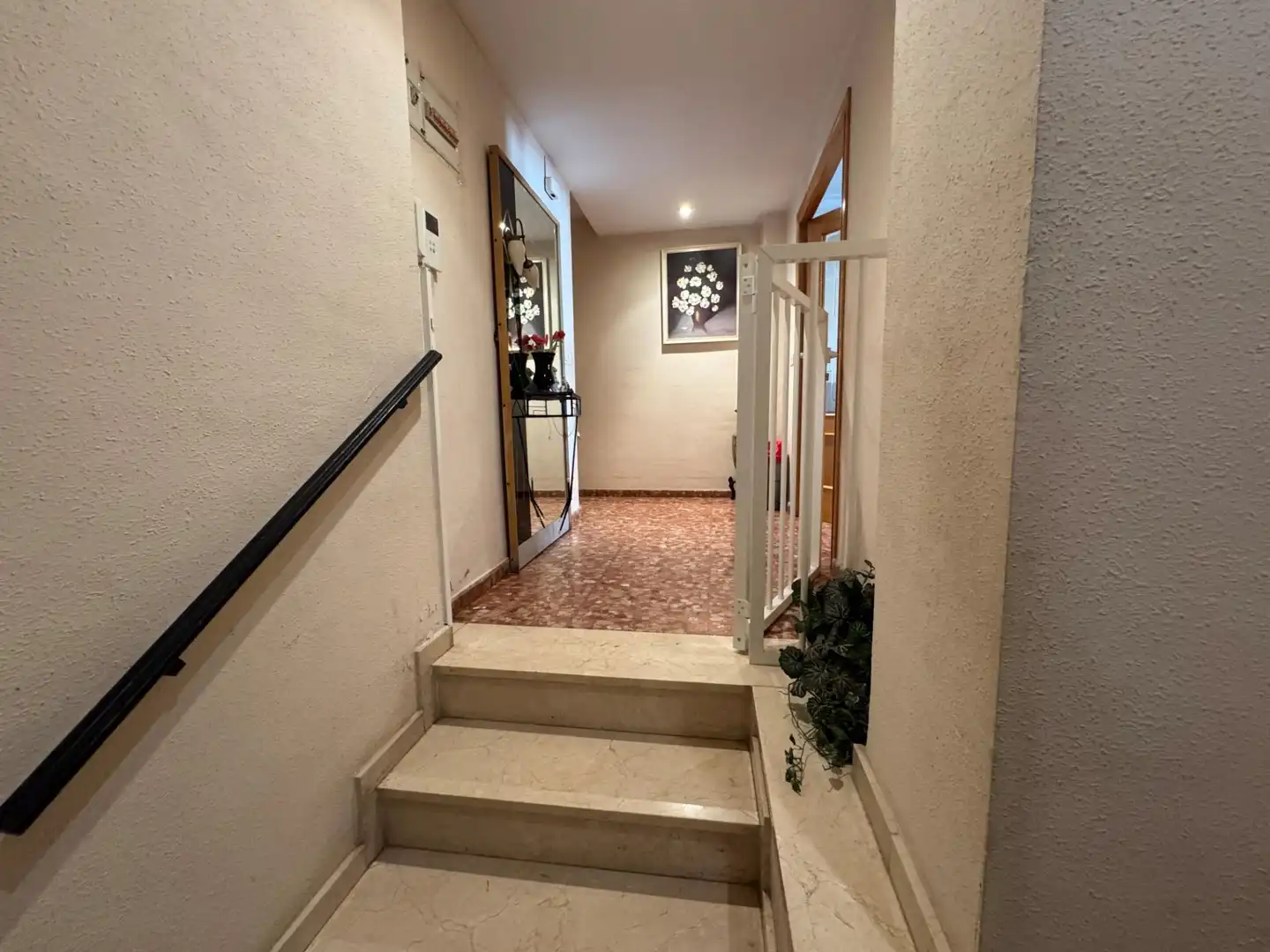 Planta baja en venta en Algemesí con Terraza