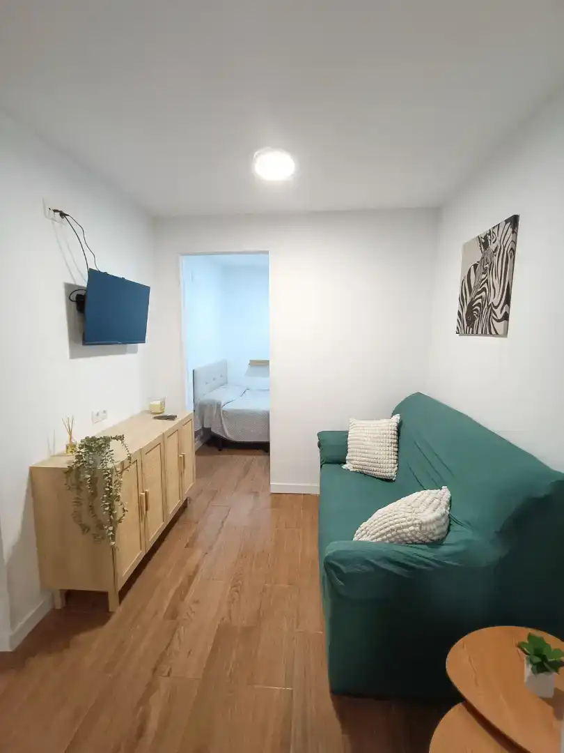 Wohnzimmer von Wohnungen zur Miete in Casco Antiguo