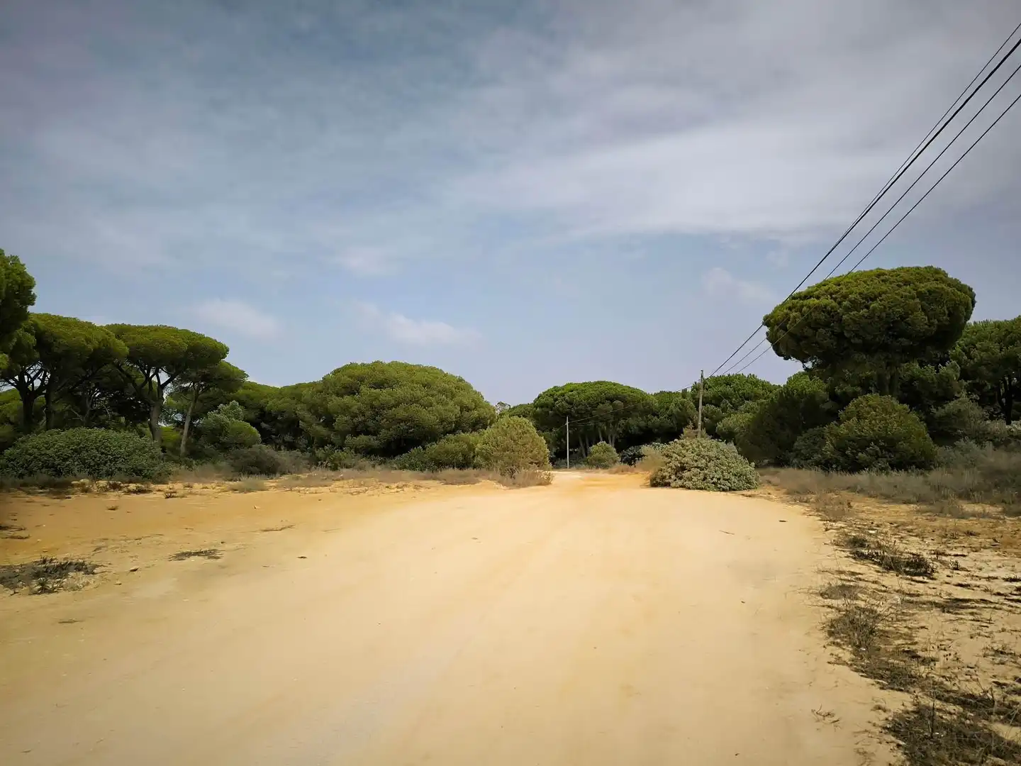 Wohnbaugrundstück zum Verkauf in La Barrosa, imagen 10