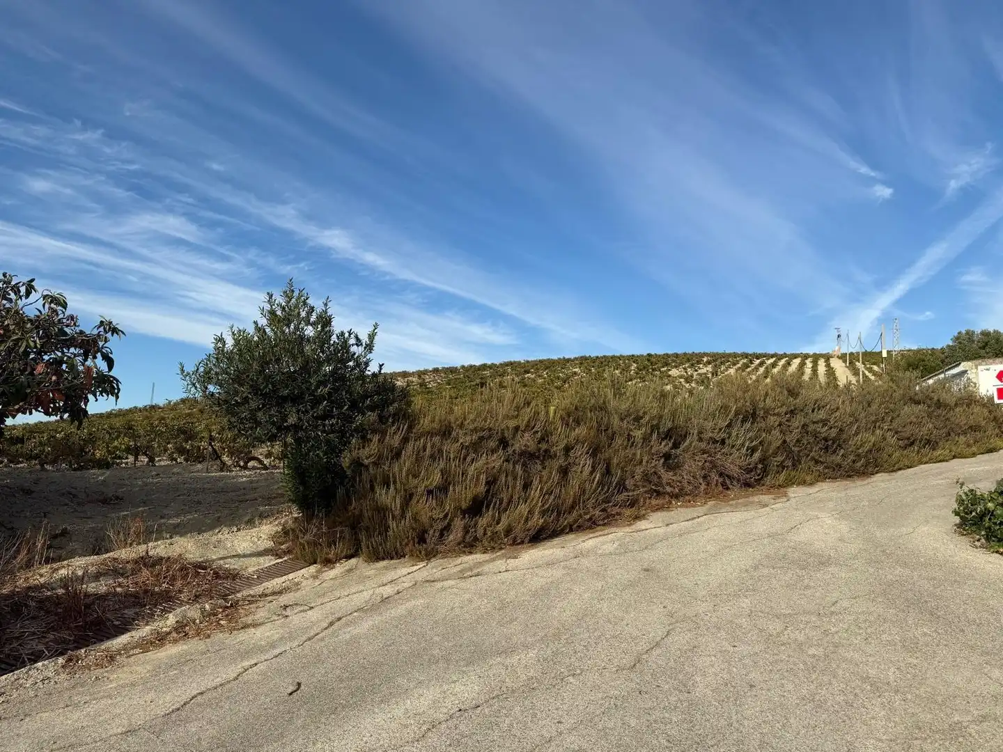 Local comercial en venta en Jerez Sur, imagen 2