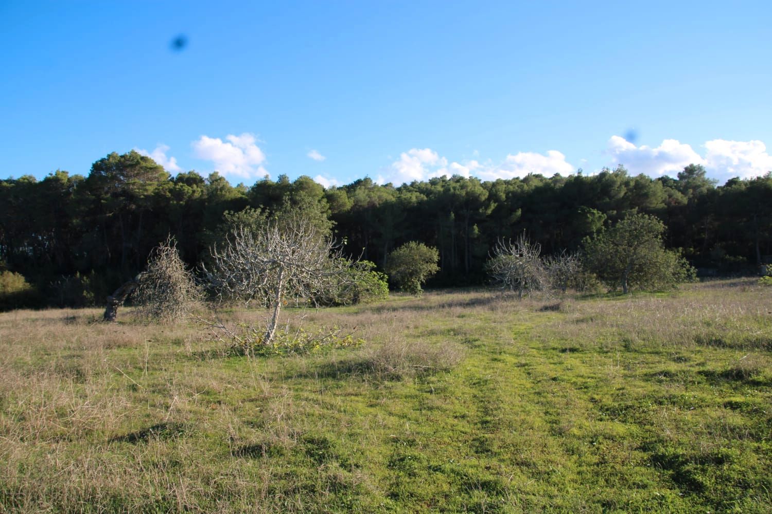 Land for sale in Santa Eulària des Riu
