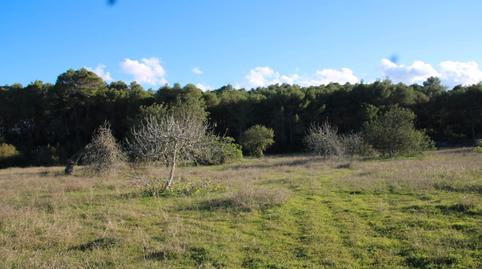 Photo 2 of Land for sale in Santa Gertrudis, Santa Eulària des Riu