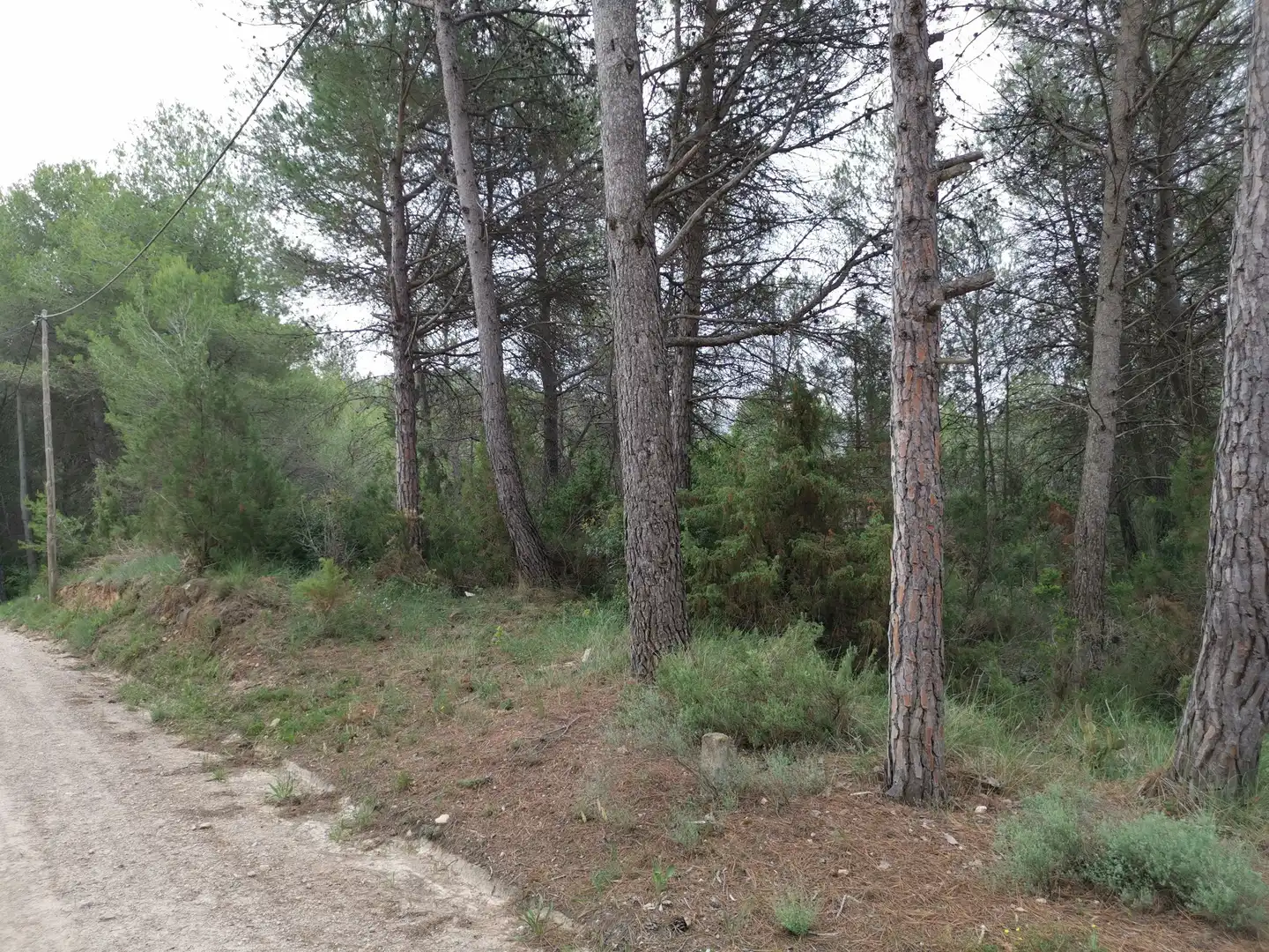 Residencial en venda en El Montmell