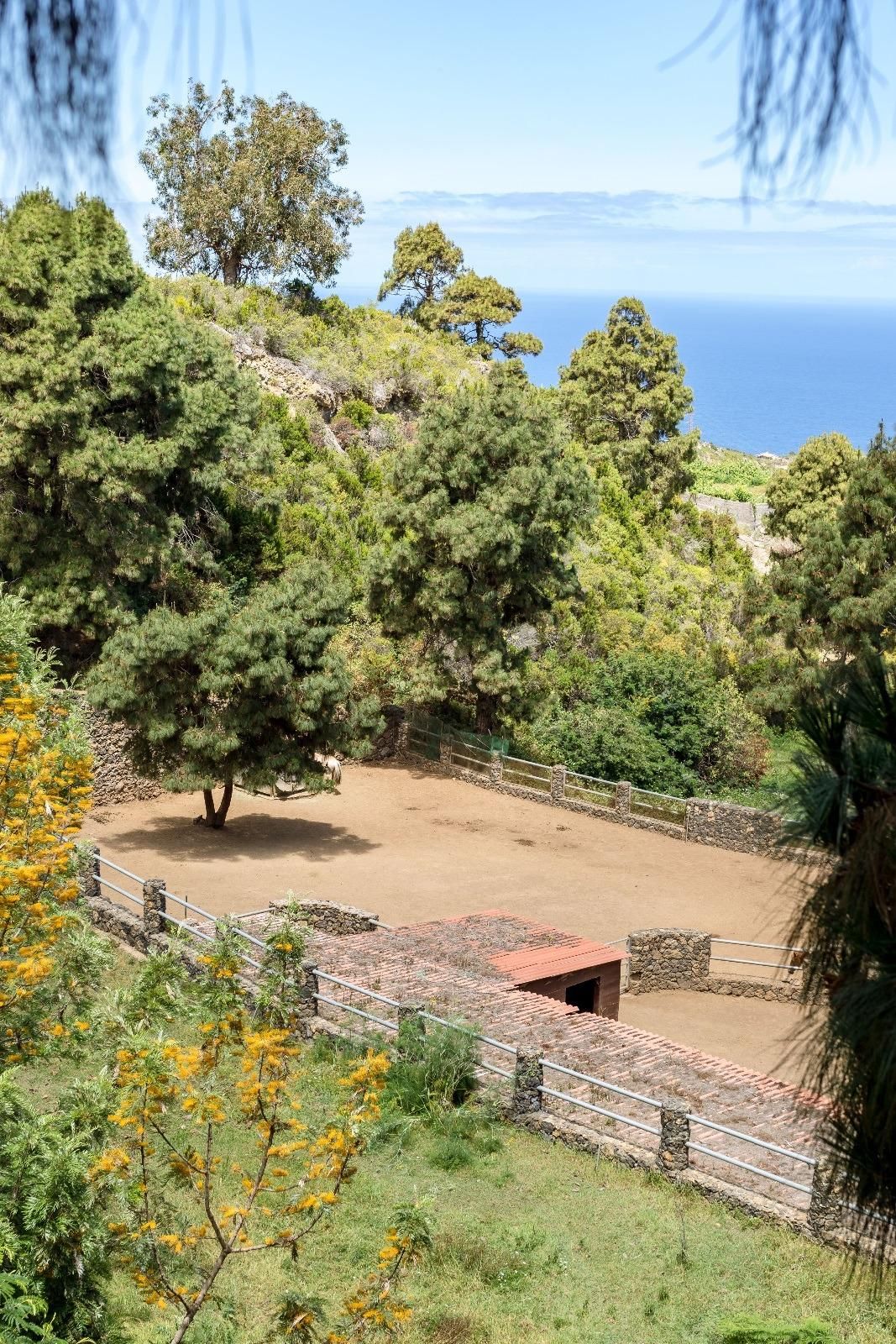 Country house zum verkauf in Camino CENTINELA, La Guancha