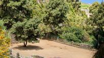 Jardí de Finca rústica en venda en La Guancha amb Jardí privat, Terrassa i Balcó