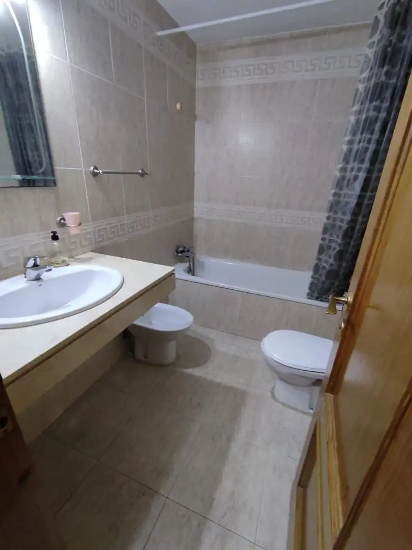 Bathroom of Flat for rent in Algeciras  with Air Conditioner, Furnished and Pets allowed