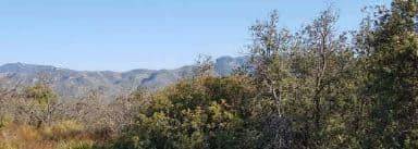 Terreno en Venta en Benicolet