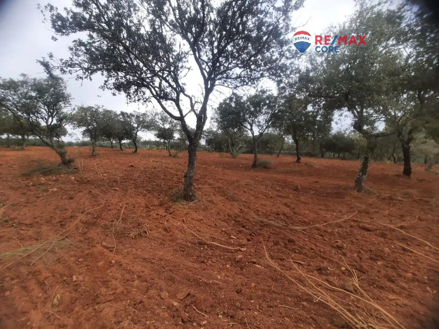 Terreni e lotti in vendita a Alburquerque, imagen 45