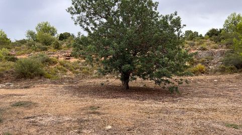 Foto 4 de Terreno en venta en La Conarda, La Pobla de Vallbona