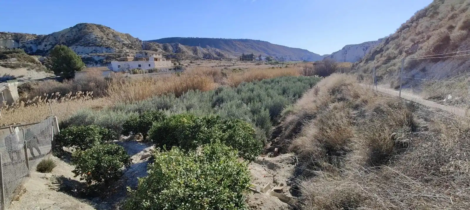 Lands and plots for sale in Mula, imagen 3